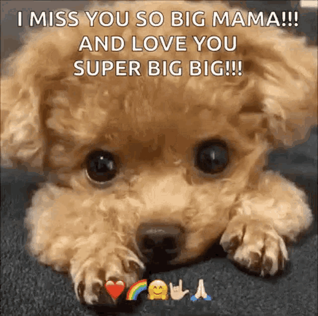 a small dog is laying down with a rainbow in its paws and says i miss you so big mama