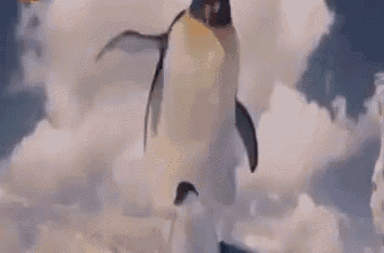 Rocketship GIF - Rocketship Penguins Funny GIFs