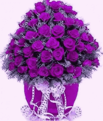 Flowers Purple GIF