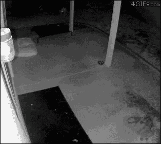 a black and white photo of a porch with the website 4gifs.com in the corner