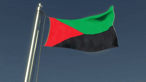 a red green and black flag is flying on a pole