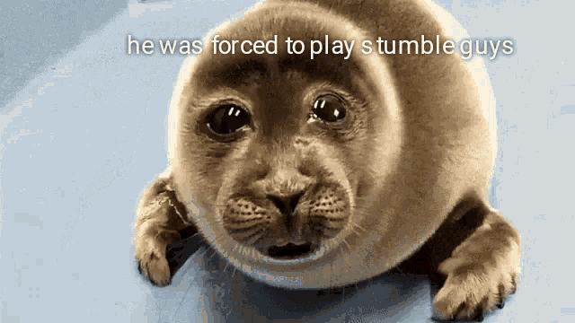 Forced To Play Stumble Guys GIF - Forced To Play Stumble Guys GIFs