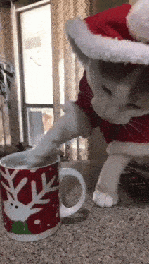 a cat wearing a santa hat reaches into a mug