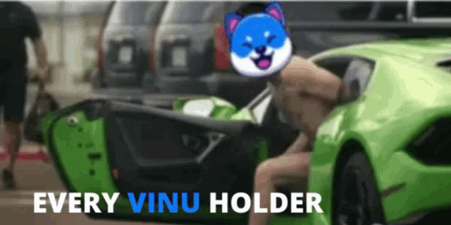 a naked man is sitting in a green car with the words every vinu holder below him