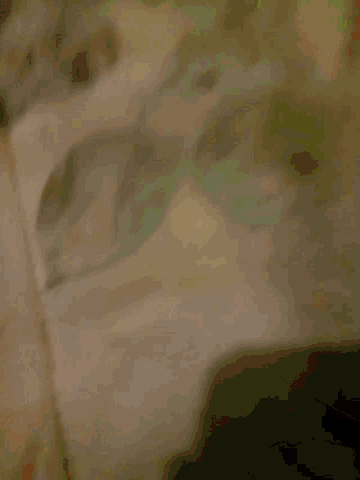 a close up of a person 's face with a blurred image