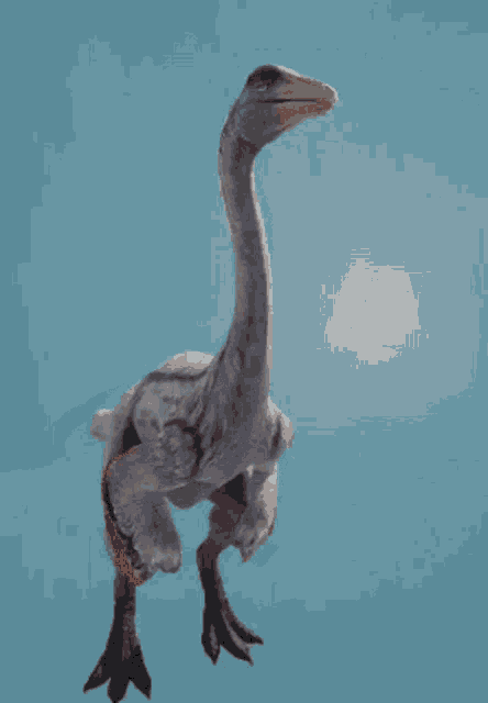 Ornithomimus Jurassic World Alive GIF - Ornithomimus Jurassic World Alive Jwa GIFs