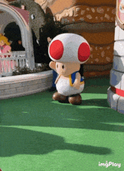 a toad mascot is standing on a green lawn .