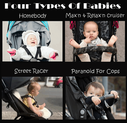 Four Types Of Babies Strollers Meme - Four types of babies Strollers ...