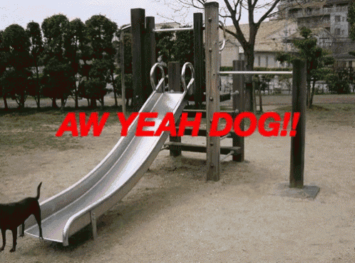 a playground with aw yeah dog written on it
