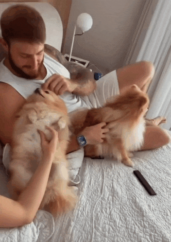 a man and a woman are laying on a bed with two dogs