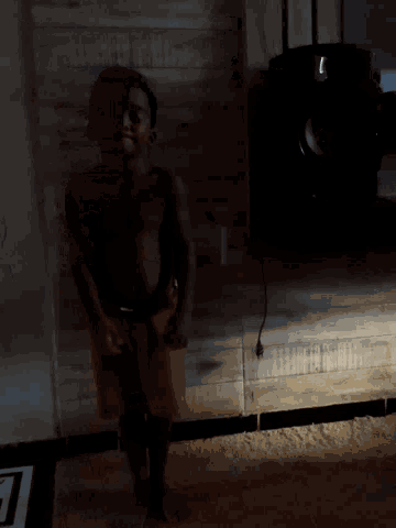 a shadow of a person is cast on a wooden floor in a dark room
