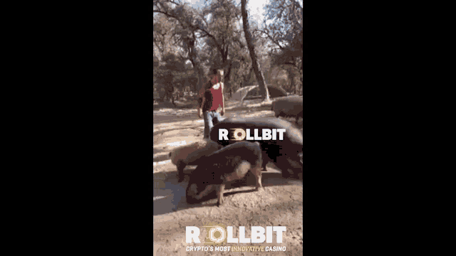 a man in a red shirt is riding a horse while a dog watches