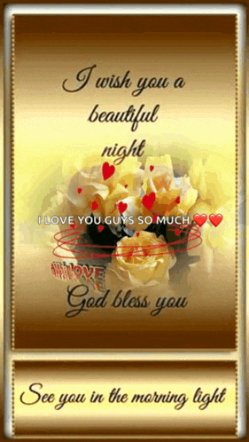 i wish you a beautiful night i love you guys so much god bless you see you in the morning light .