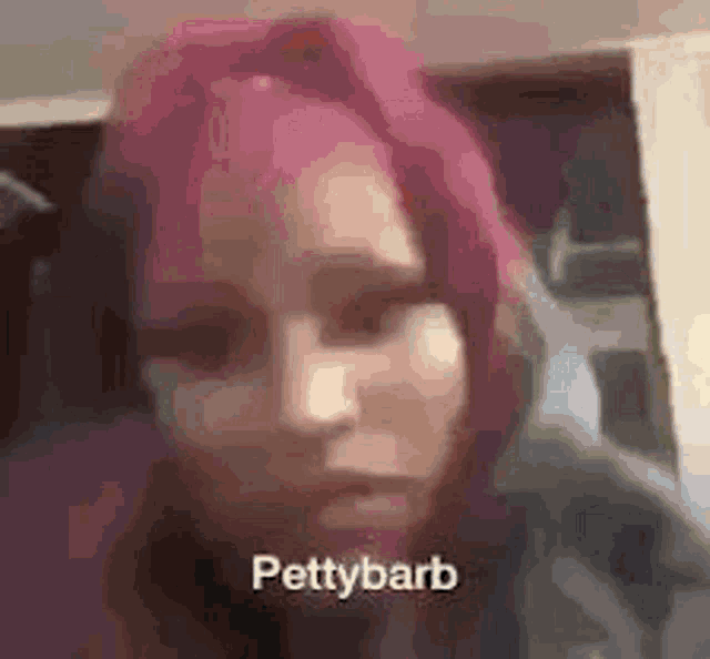 a woman with pink hair is making a funny face and says pettybarb .