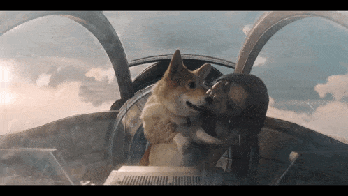 a woman is holding a dog in her arms in an airplane