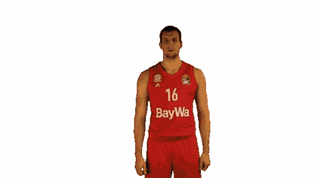 Bbl Euroleague GIF