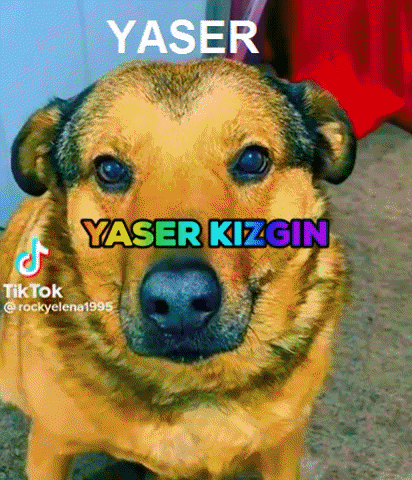 a close up of a dog with the words yaser yaser kizgin written on it .