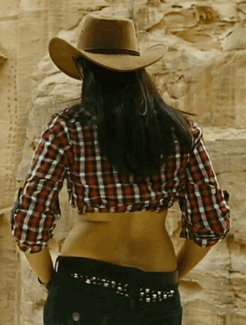 a woman wearing a cowboy hat and plaid shirt is standing in front of a rock wall .