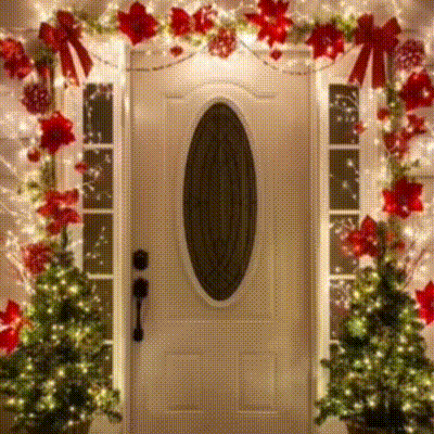 the front door of a house decorated for christmas with trees and lights .