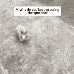 a black and white photo of a rabbit jumping into a body of water with a caption .