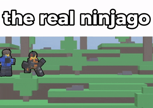 a picture of a video game with the words the real ninjago on it
