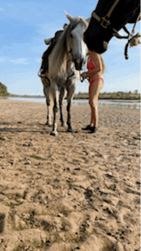 a woman in a bikini standing next to a horse on a beach
