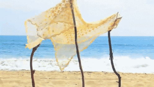 a canopy on a beach with a blanket and pillows