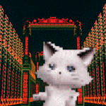 a white cat is standing in front of a fence with chinese writing