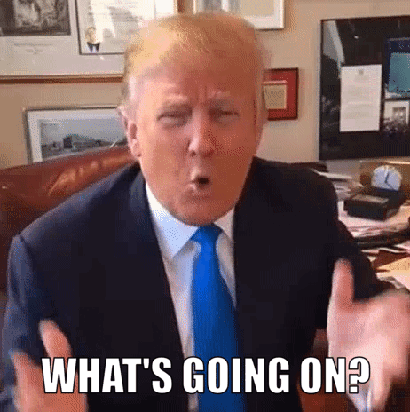Donald Trump Whats Going On GIF - Donald Trump Whats Going On GIFs