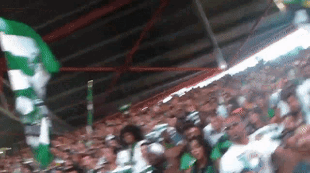 a crowd of people in a stadium with a green and white flag that says ' celtic ' on it
