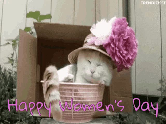 a cat wearing a hat and a flower on its head is in a box with the words happy women 's day written on it