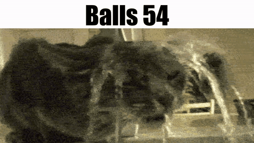 Balls Balls 54 GIF