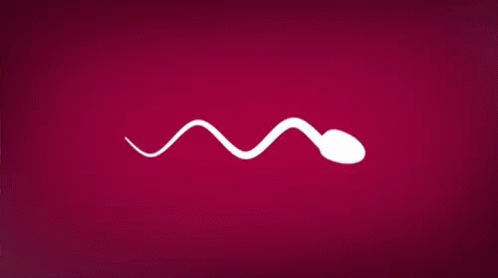 Sperm GIF - Sperm GIFs