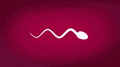 a white snake is crawling on a pink background .