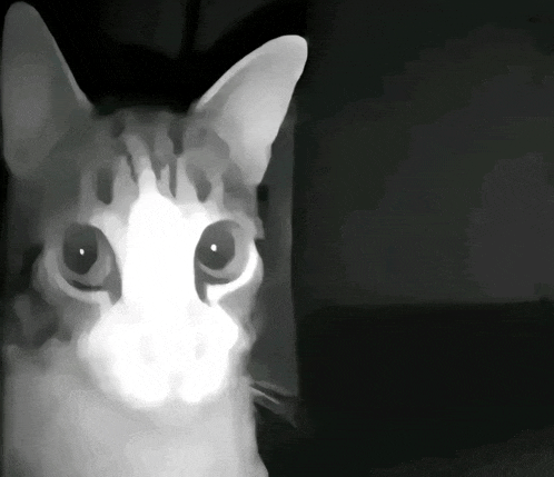 a black and white drawing of a cat with a light coming out of its nose