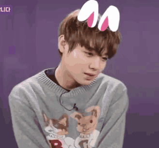 a young man wearing a sweater with a dog on it and bunny ears on his head