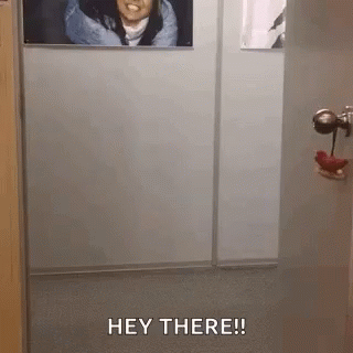 Surprise Hi There GIF - Surprise Hi There Oh Hi GIFs