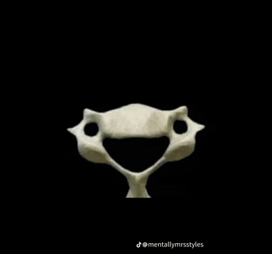 a close up of a skeleton with a smile on it 's face on a black background .