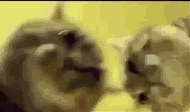 two cats are looking at each other on a yellow background