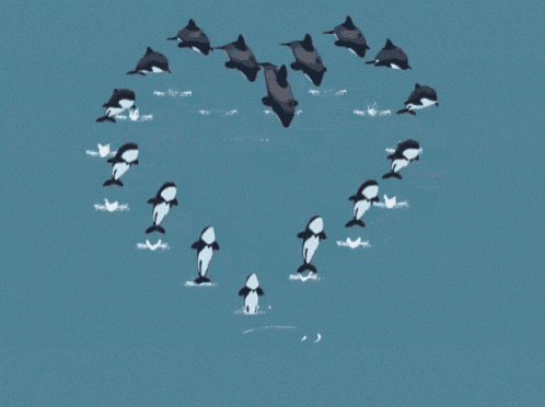 a group of dolphins swimming in a circle in the water