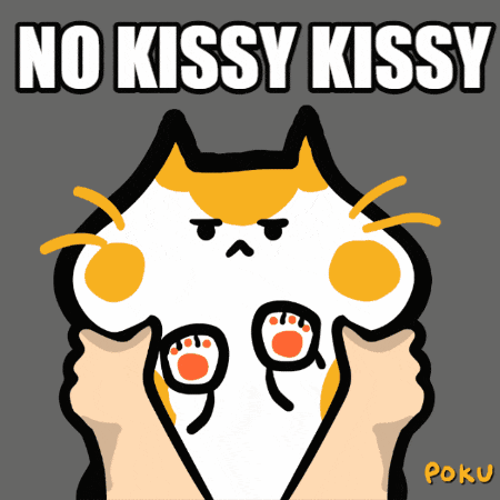 a cartoon of a cat with the words no kissy kissy