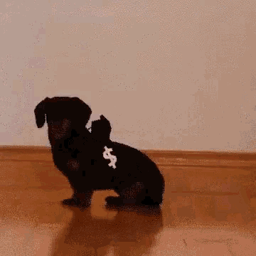 Puppies Police GIF - Puppies Police Dogs GIFs