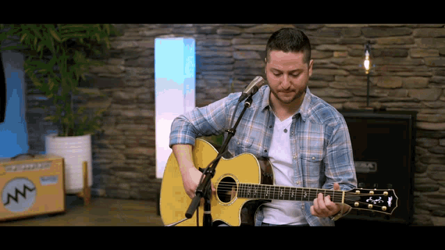a man in a plaid shirt plays an acoustic guitar in front of a microphone