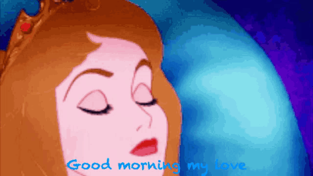 a sleeping princess with the words " good morning my love " written below her