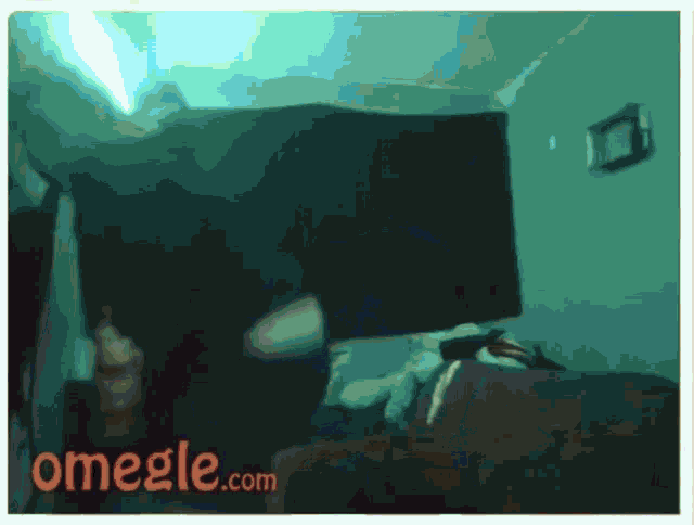 a picture of a person on omegle.com is displayed