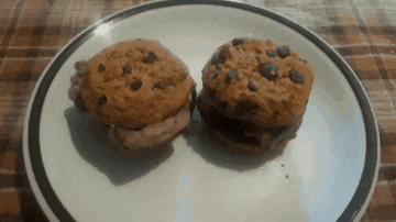 two chocolate chip cookies on a white plate with a black rim