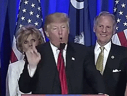 Donald Trump Point GIF - Donald Trump Point Pointing GIFs