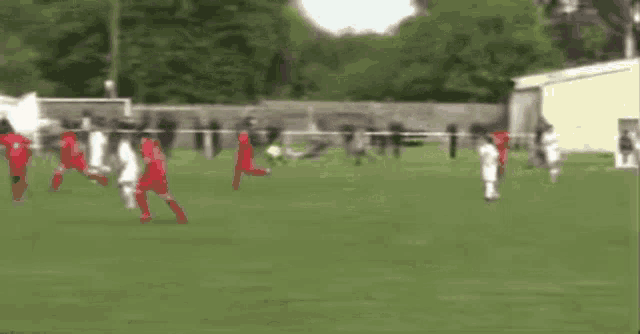 a group of people are playing soccer on a field with a crowd watching