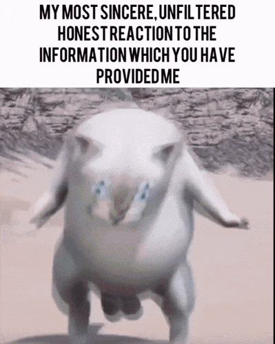 a picture of a white animal with a caption that says my most sincere unfiltered honest reaction to the information which you have provided me