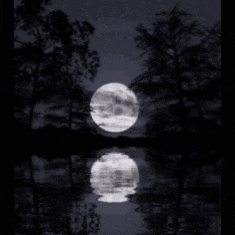 a black and white photo of a full moon with the words good night below it
